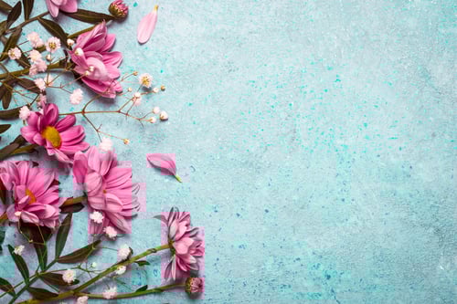 Preview: Spring Summer Creative nature background. Pink flowers border on