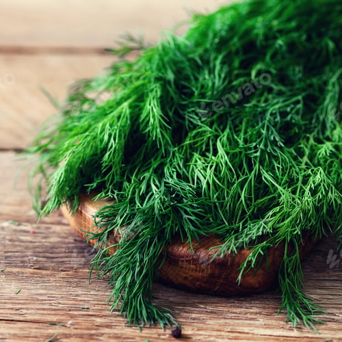 Preview: Bunch of fresh organic dill on wooden background with copyspace, rustic and vintage style, selective