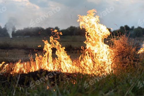 Preview: A fire burns in a field with dry grass.