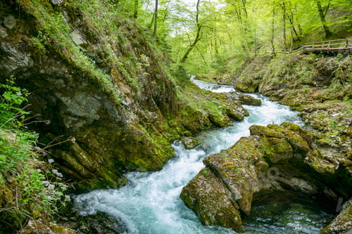 Preview: the vintgar gorge in Solvenia, a nature park with waterfalls and green plants