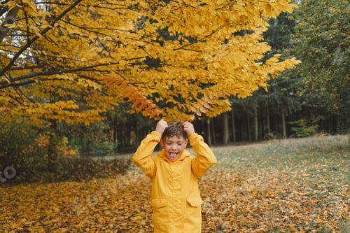 Preview: A cheerful child in a yellow raincoat walks through the forest