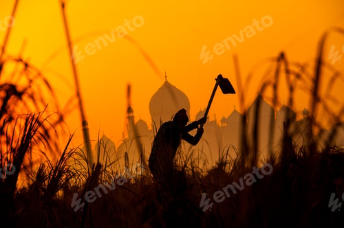 Preview: Taj Mahal at sunrise on the Yamuna River