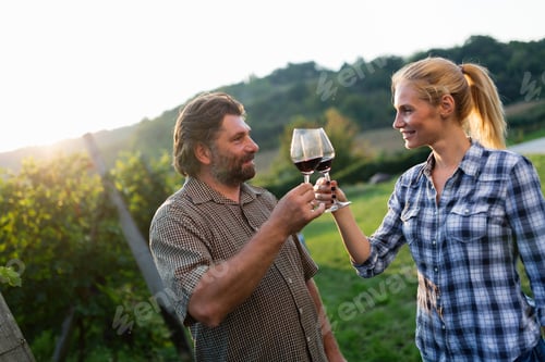 Preview: Picture of people tasting red wine in vineyard