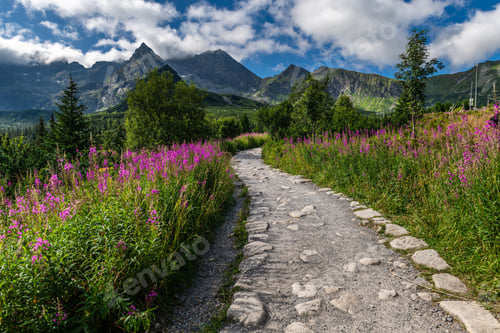 Preview: Hala Gasienicowa in Summer with Tatra Mountains and Flowers