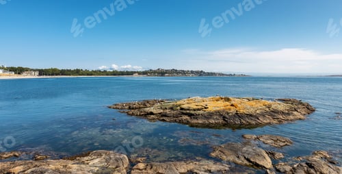 Preview: View of Rocky shore with birds at a modern city park, Clover Point