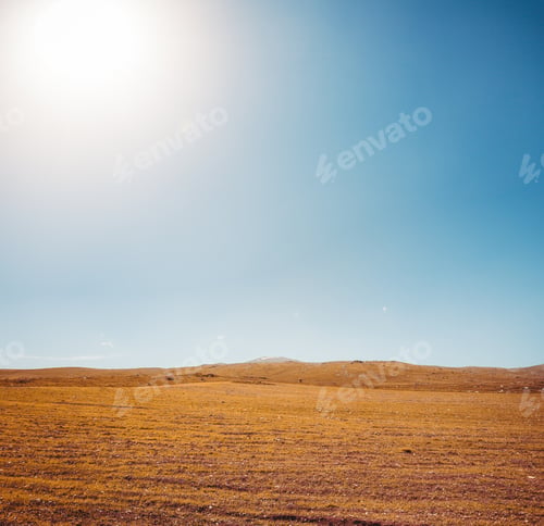 Preview: meadow and blue sky