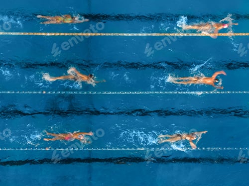 Preview: group of swimmers training in an outdoor pool top view