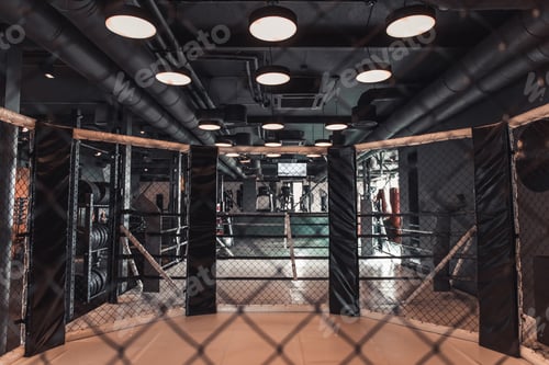 Preview: Modern boxing ring
