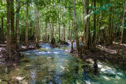 Preview: Emerald lake and Blue pool Krabi Thailand mangrove forest Krabi Thailand.