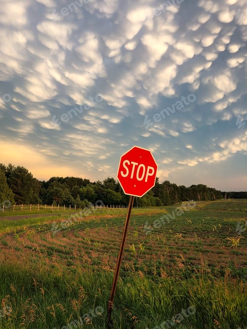 Preview: Crooked stop sign at the corner of a dirt road and bean field beneath a cotton ball cloudy sky.