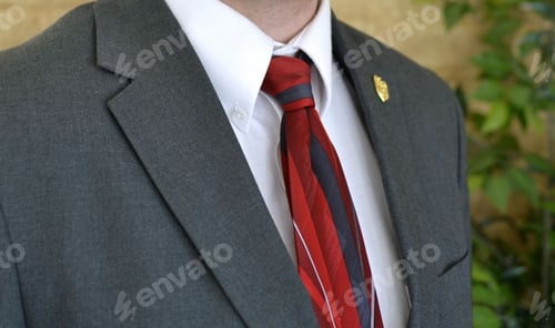 Preview: Adult in Suit with Tie and Button-Down Shirt