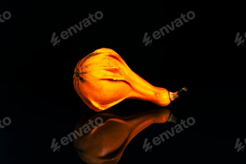 Preview: Small decorative pumpkin on black background with reflection
