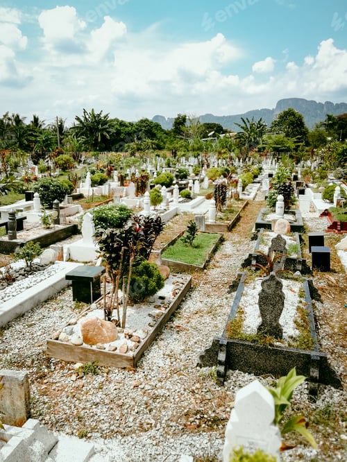 Preview: Muslim graveyards in a sunny day