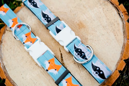 Preview: Dog Collar and Leash set. Pet Supplies and Walking Gear Collection