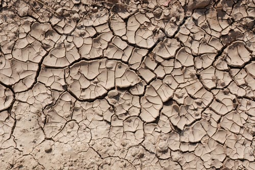 Preview: Dirt ground with cracks. Sun-cracked mud surface.