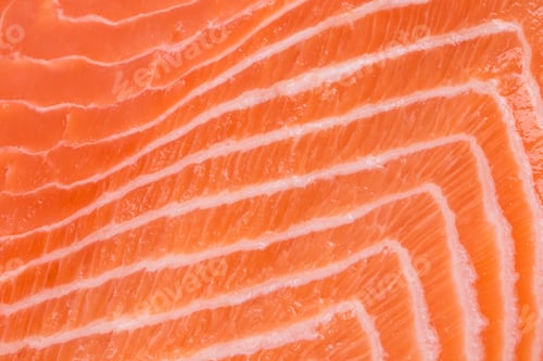 Preview: Close up of salmon fillet.