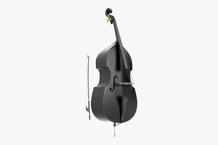 Preview: Ebony Double Bass with Bow