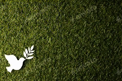 Preview: Close up of white dove with leaf and copy space on grass background