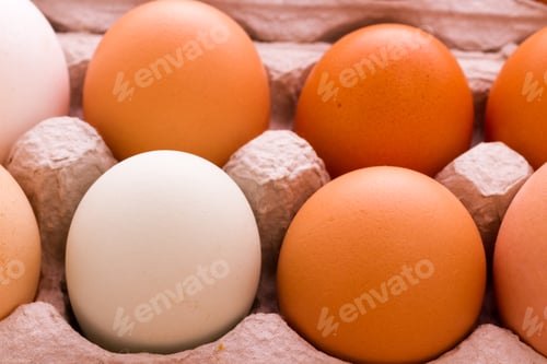 Preview: Fresh eggs