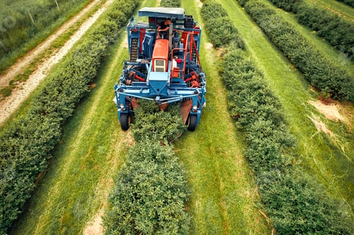 Preview: Modern machinery harvesting crops on vast farmland, demonstrating efficient farming