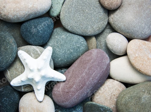 Preview: Sea pebble stones and starfish