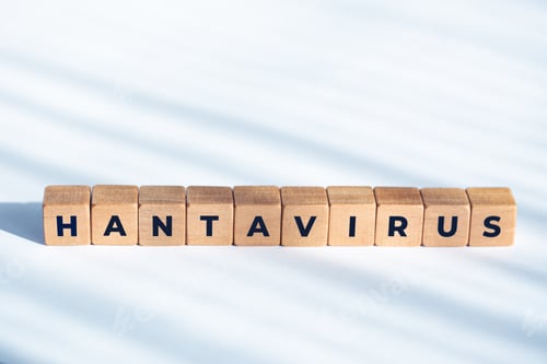 Preview: ANTAVIRUS word on wooden dices