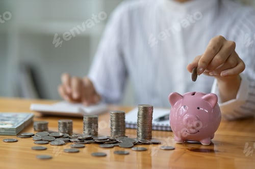 Preview: Saving Money in Piggy Bank With Coins