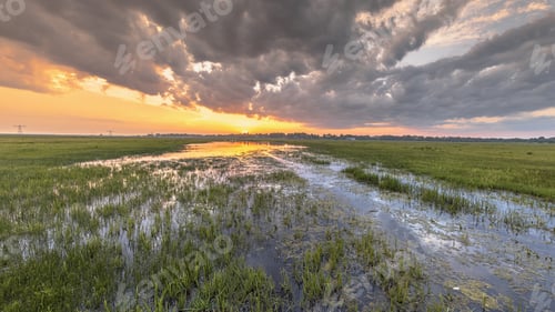 Preview: Wetland landscape with orange colored sunset