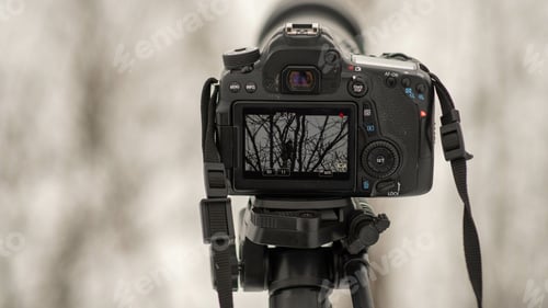 Preview: Digital camera set up in a landscape for shooting the beautiful view of the forest