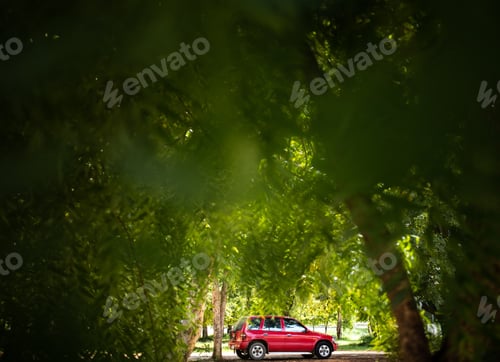 Preview: Red car parking outdoor in the summer season