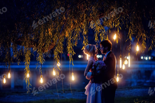 Preview: Fairy night portrait of wedding couple with lights of edison lamps by blue lake under willow tree