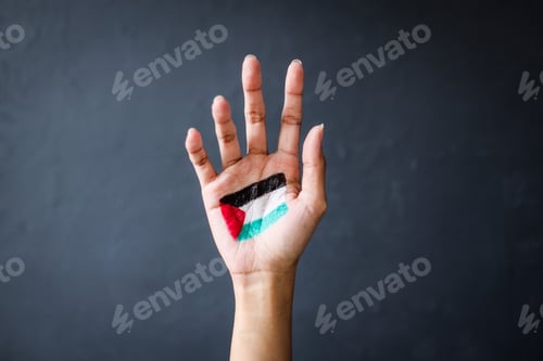 Preview: Hand Painted with Palestine Flag