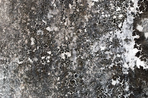 Preview: Light Gray Stucco Wall Texture. Abstract Background