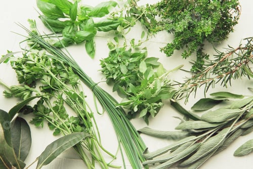 Preview: Variety of herbs
