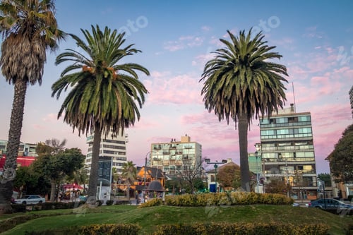 Preview: Plaza Colombia at sunset - Vina del Mar, Chile