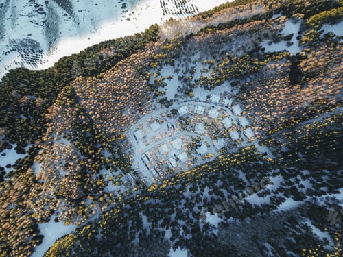 Preview: Snowy mountains with fir trees