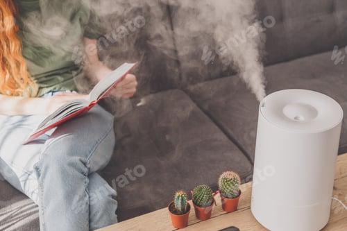 Preview: Household humidifier at home on table near woman reading on sofa
