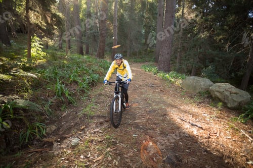 Preview: Male Biker Cycling In Countryside Forest