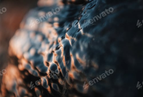Preview: abstract texture of an ice frozen on a rock
