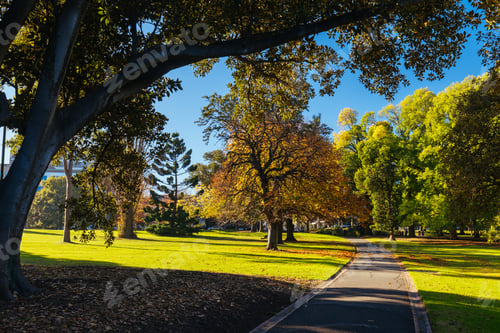 Preview: Fitzroy Gardens in East Melbourne Victoria Australia