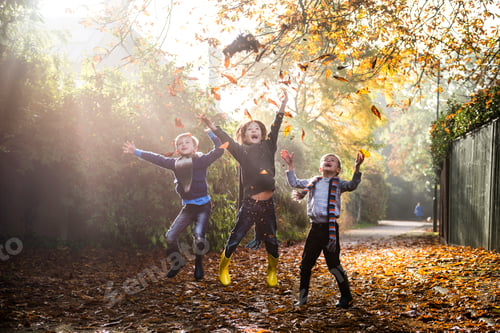 Preview: Three young boys, playing outdoors, throwing autumn leaves