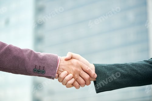 Preview: Mature Business People Shaking Hands