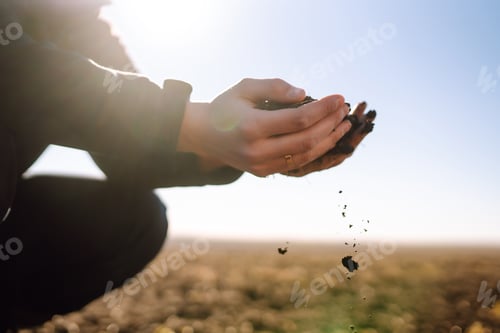 Preview: Hand of expert farmer collect soil. Farmer is checking soil quality before sowing. Ecology concept.