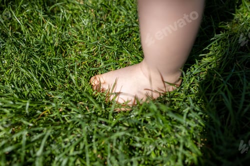 Preview: Closeup shot of a baby foot taking its first steps in grass