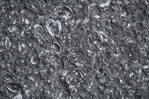 Preview: Seashell Sidewalk