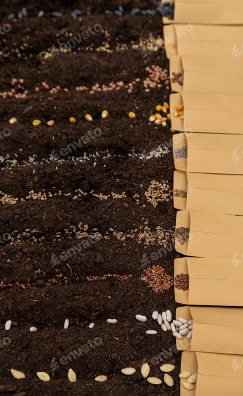 Preview: Sow different seeds in the garden. Selective focus.