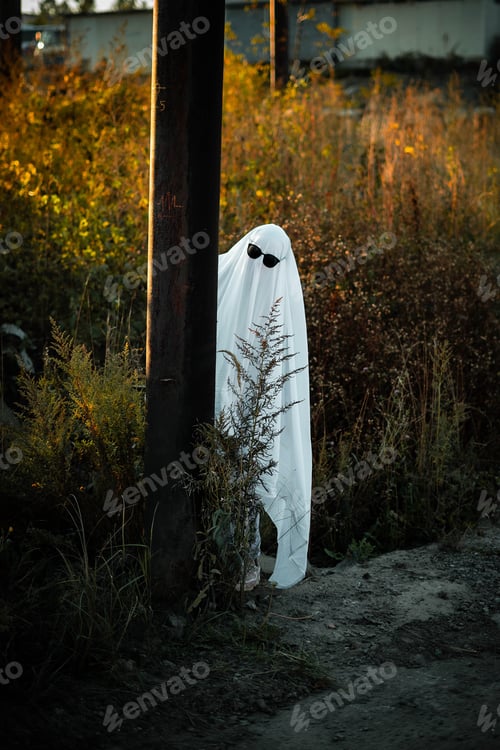 Preview: autumn