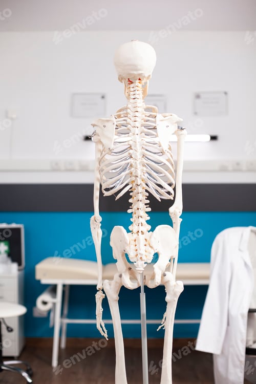Preview: Clinic office with spine and joint focus