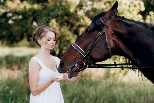 Preview: girl in a white sundress on a walk with brown horses
