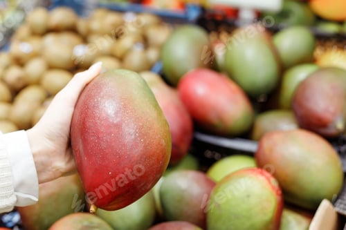 Preview: Young Woman Choosing Mango in Grocery Store. Concept of healthy food, bio, vegetarian, diet.